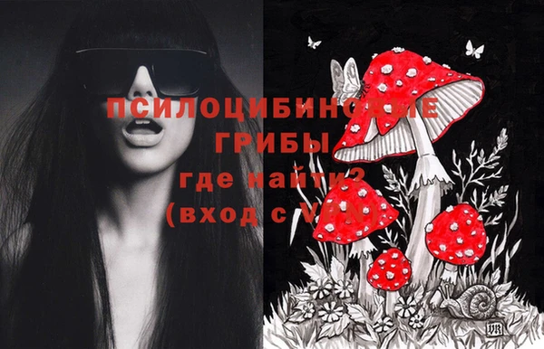mdpv Белокуриха