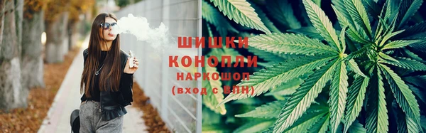 mdpv Белокуриха