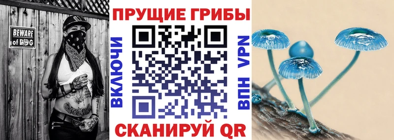 Псилоцибиновые грибы Psilocybine cubensis  это официальный сайт  Макаров 